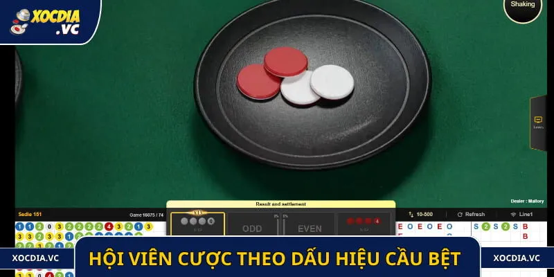 Hội viên cược theo dấu hiệu cầu bệt 