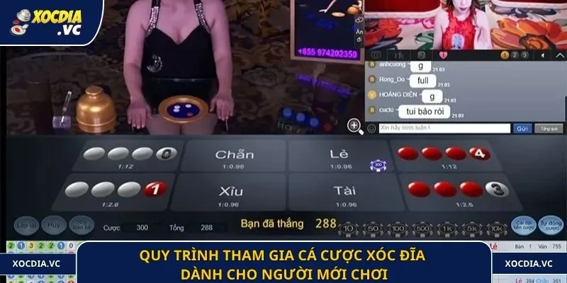 Quy trình tham gia cá cược xóc đĩa dành cho người mới chơi