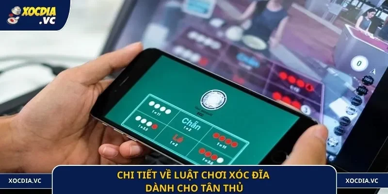 Chi tiết về luật chơi xóc đĩa dành cho tân thủ